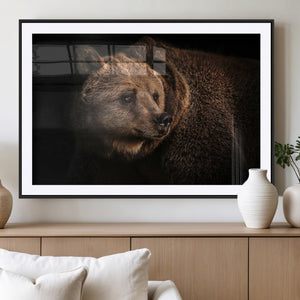 Wild Grizzly 399 Bear Canvas Wall Art Print, Bear Animal
