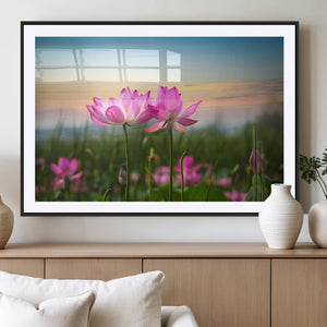 Pink Flower on the Mountain Canvas Print, Framed Pink Flower