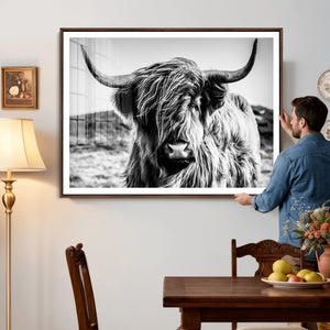 Black and White Scottish Cow Canvas Wall Art Highland Cattle