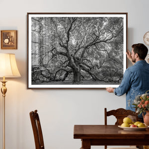 Majestic Angel Oak Tree Black and White Canvas Print – Multi