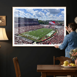 Georgia Bulldogs Stadium Wall Art Canvas Print, Sanford