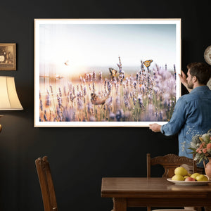 Lavender Field Wall Art Canvas Print, Butterfly Floral