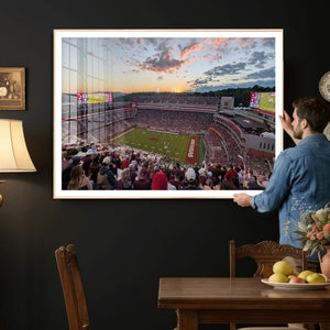 Donald W. Reynolds Razorback Stadium Wall Art Canvas Print –