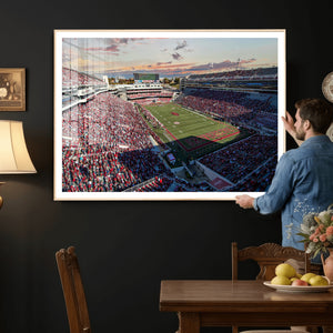 Donald W. Reynolds Razorback Stadium Wall Art Canvas Print –
