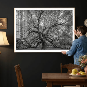Majestic Angel Oak Tree Black and White Canvas Print – Multi