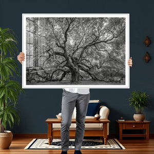 Majestic Angel Oak Tree Black and White Canvas Print – Multi