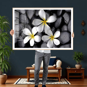 Plumeria Frangipani Black Stone Canvas | White Flower Spa