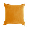 20''x20'' Luxe Velvet Throw Pillow  | 19 Colors – Soft & Elegant Piped Edge Design | Modern Couch & Bedroom Accent | Insert Included