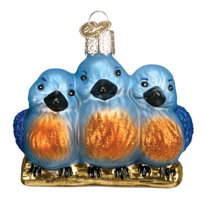 Feathered Friends Ornament by Old World Christmas