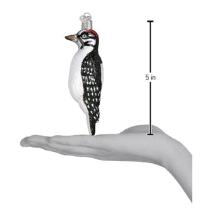 Hanging Hairy Woodpecker