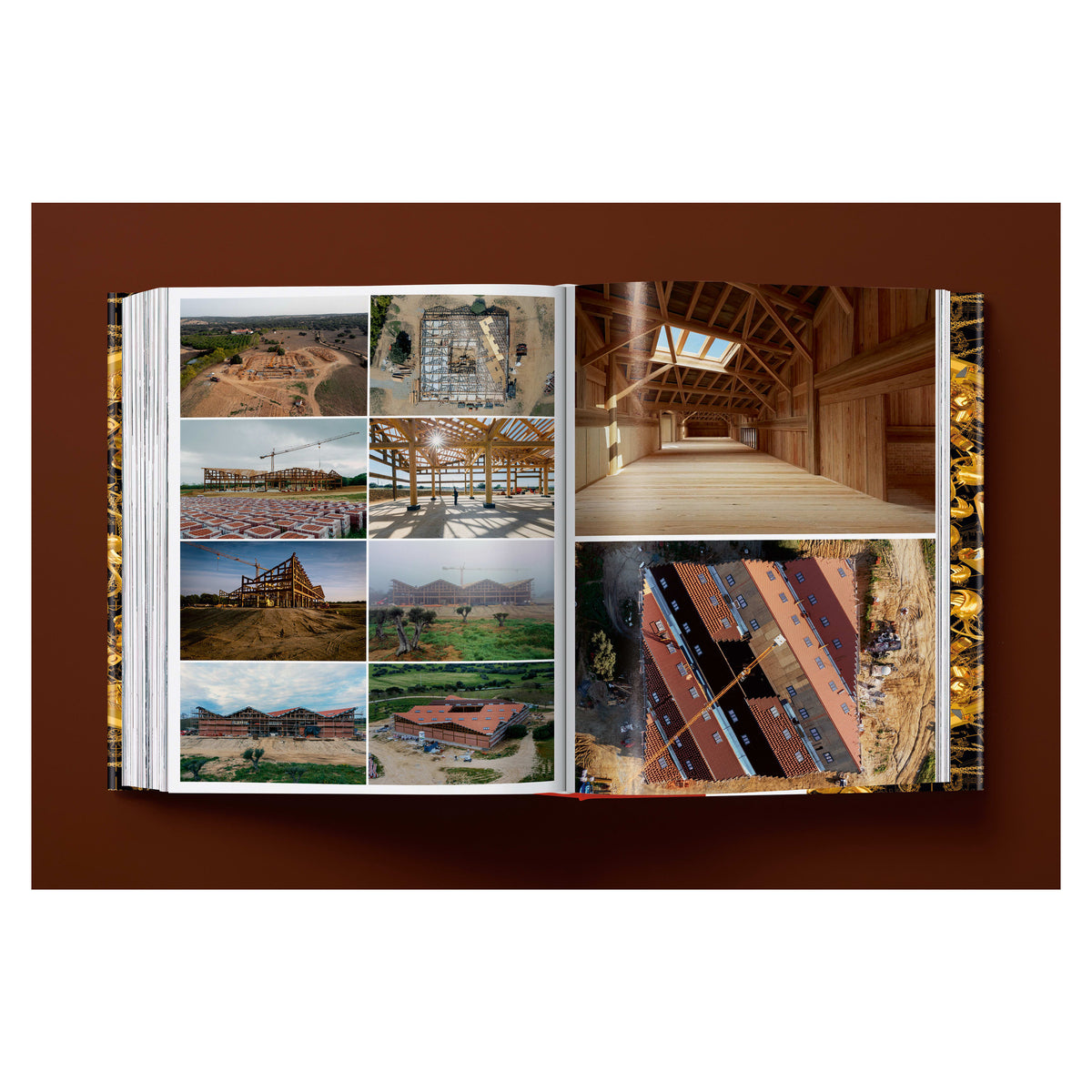 Ai Weiwei. Updated Edition (German, French, English)