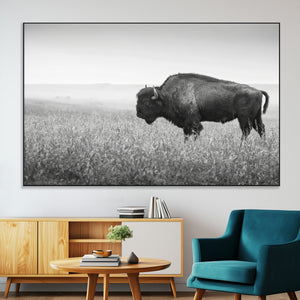 Bison in Prairie Wall Art Canvas Print – Framed Rustic