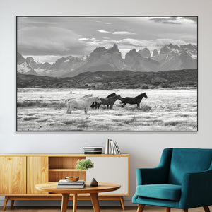 Wild Horses Wall Art Canvas Print – Framed Black and White