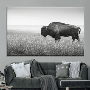 Bison in Prairie Wall Art Canvas Print – Framed Rustic