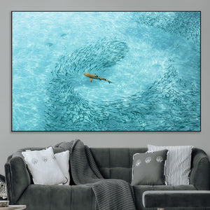 Fish Swarm Wall Art Canvas Print – Framed Marine Life Art
