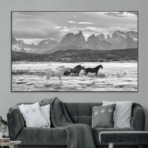 Wild Horses Wall Art Canvas Print – Framed Black and White