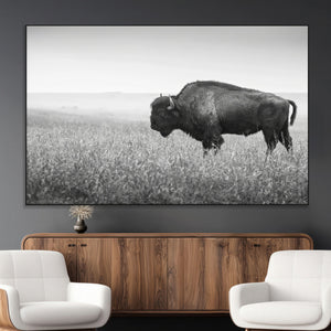 Bison in Prairie Wall Art Canvas Print – Framed Rustic