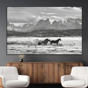 Wild Horses Wall Art Canvas Print – Framed Black and White