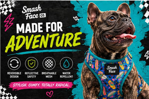 Totally Radical Reversible Dog Harness, Collar & Leash Set | Retro Gamer & Surf Skate Print | French Bulldog Harness