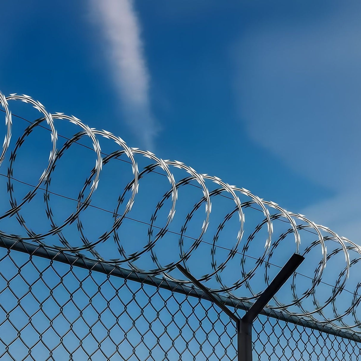 Galvanized Barbed Wire Fence Roll With Sharp Razor Edges