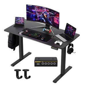 48"×24" Electric Standing Desk