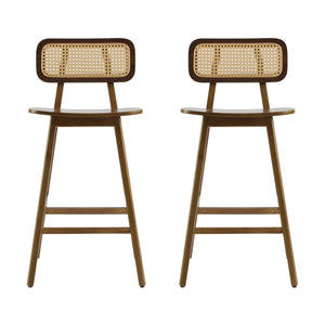 Bari Indoor Wood Barstool (Set of 2)