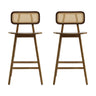 Bari Indoor Wood Barstool (Set of 2)