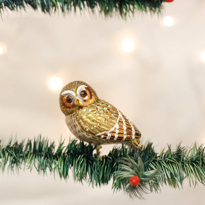 Pygmy Owl Ornament by Old World Christmas