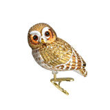 Pygmy Owl Ornament by Old World Christmas