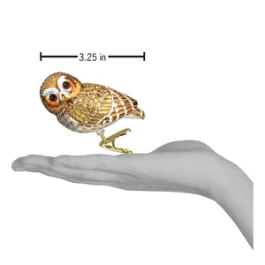 Pygmy Owl Ornament by Old World Christmas