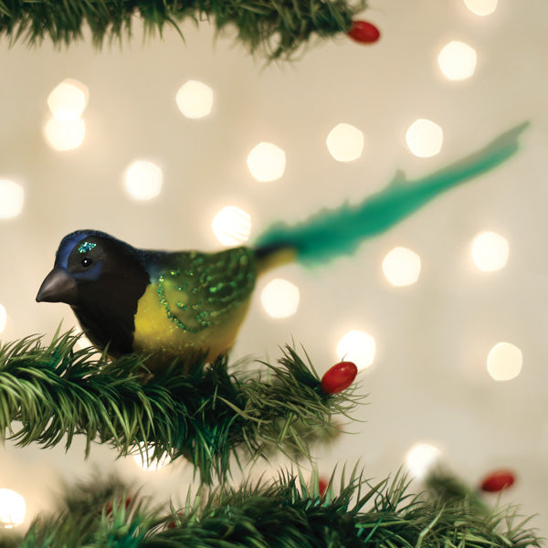Green Jay Ornament by Old World Christmas