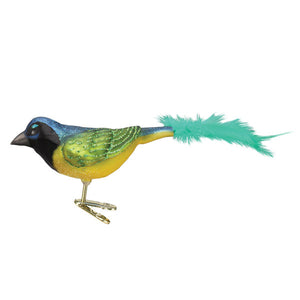 Green Jay Ornament by Old World Christmas