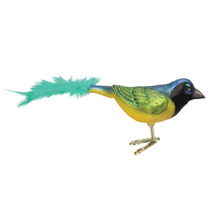 Green Jay Ornament by Old World Christmas