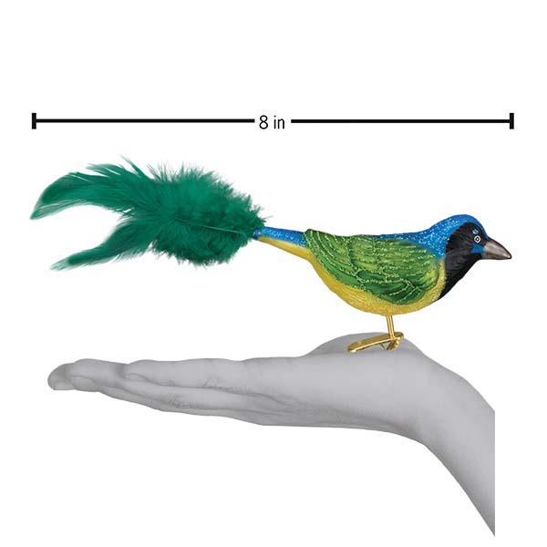 Green Jay Ornament by Old World Christmas