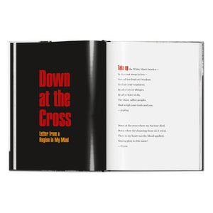 James Baldwin. Steve Schapiro. The Fire Next Time (English)