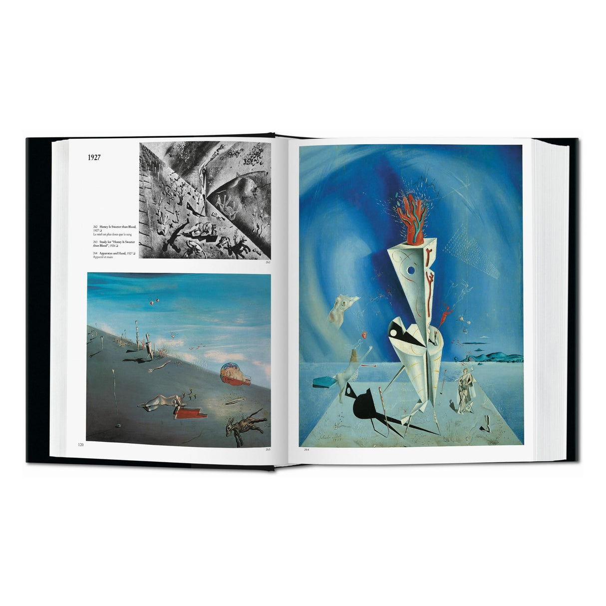 Dalí. The Paintings (English)