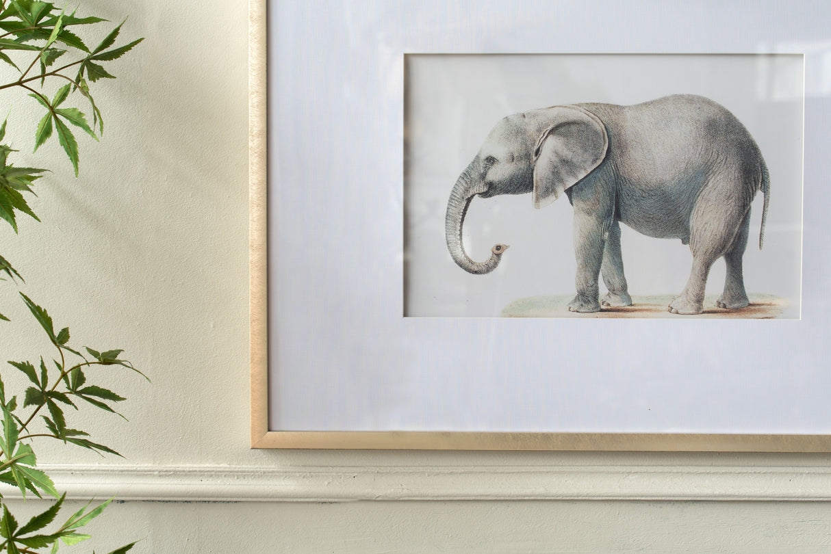 23.6x31.5" Fake Elephant Pencil Drawings, Set of 2
