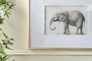 23.6x31.5" Fake Elephant Pencil Drawings, Set of 2
