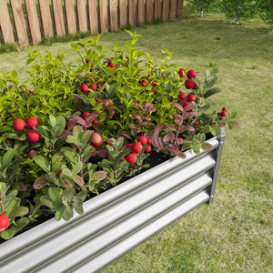 Metal Raised Garden Bed 4x2x1 ft