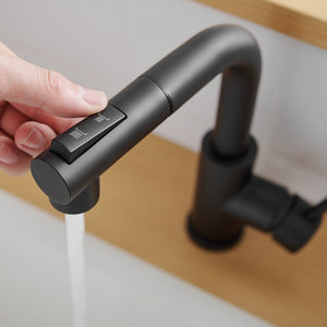 Black Kitchen Sink Faucet with Pull Down Sprayer