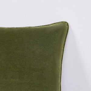 Terran Velvet Decorative Pillow Cover