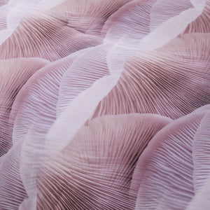 Mycelium Dream Comforter Set