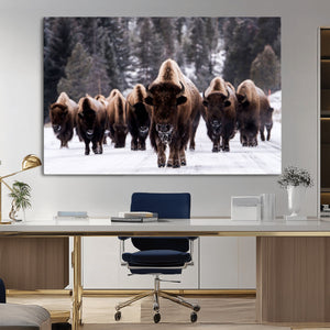 Bison Wall Art Canvas Print- Bison Herd Canvas Wall Art –