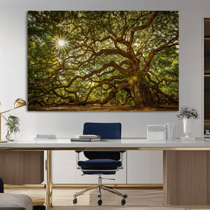 Ancient Angel Oak Tree Art Sunburst Canvas Print-