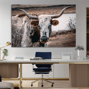 Texas Longhorn Wall Art Canvas Print – Framed Spotted Bull