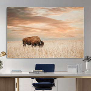 MyCanvas -