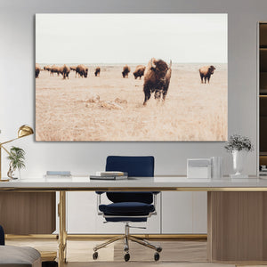 Bison Herd Wall Art Canvas Print, Framed Western Landscape