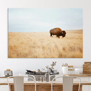 Buffalo Wall Art Canvas Print – Framed Western Wildlife