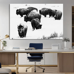 Buffalo Herd Wall Art Canvas Print – Framed Black and White
