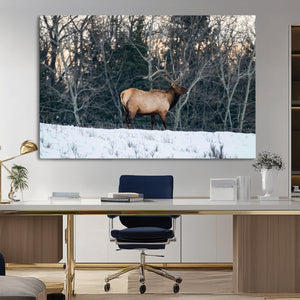 Wild Elk Wall Art Canvas Print – Framed Winter Wildlife